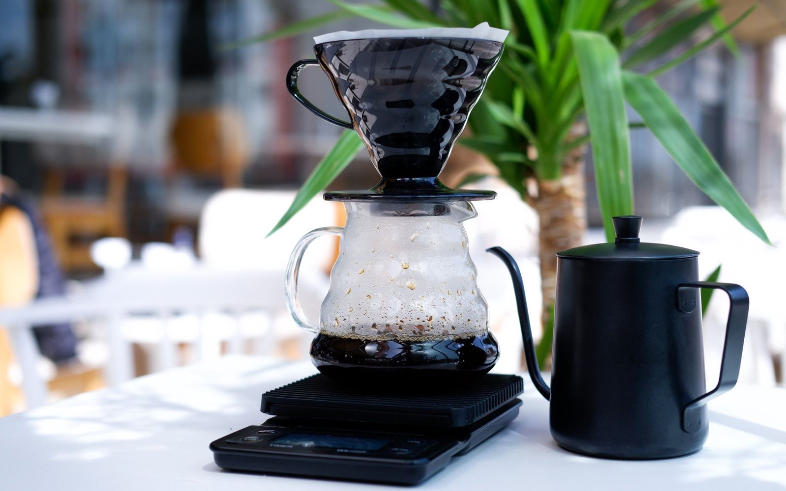 V60 coffee process